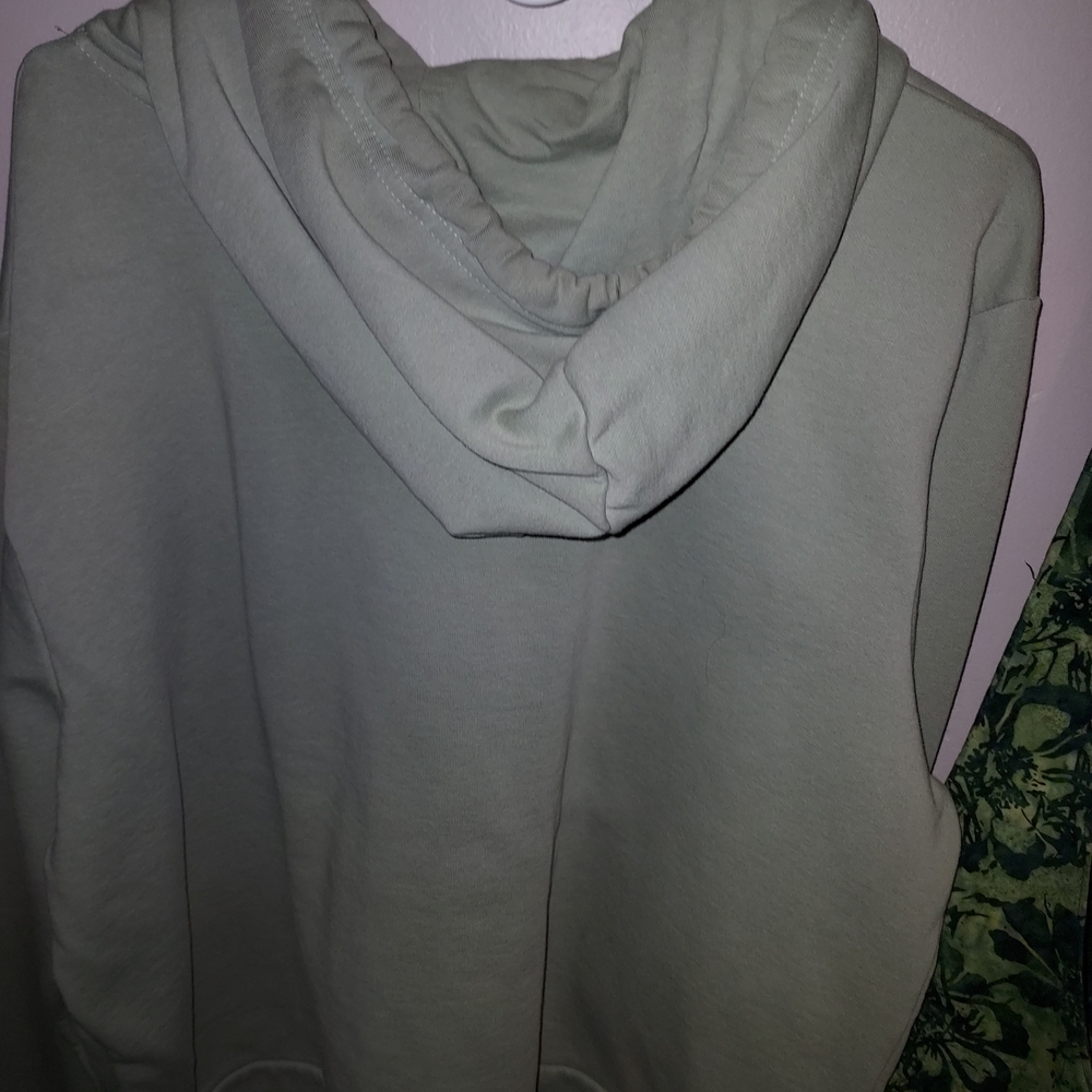 The North Face Sage Green Logo Hoodie - Picture 2 of 4